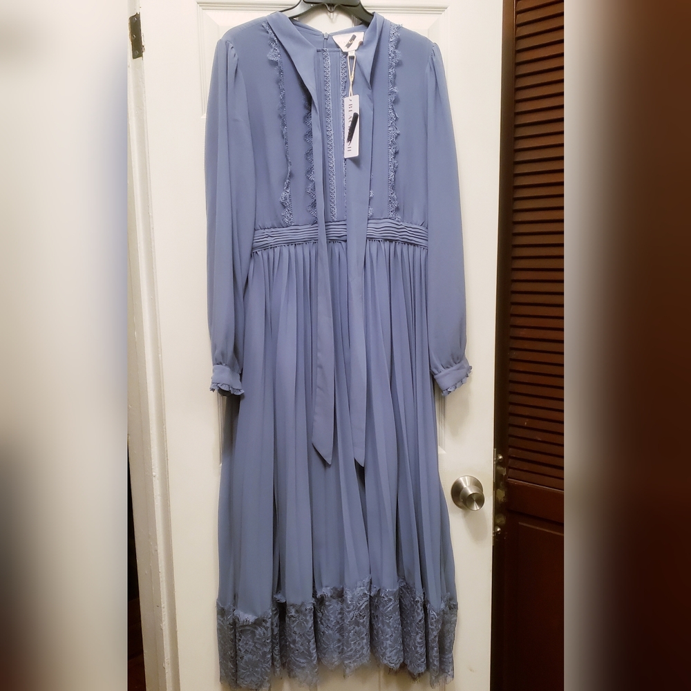 NWT Beautiful Chiffon Maxi Dress